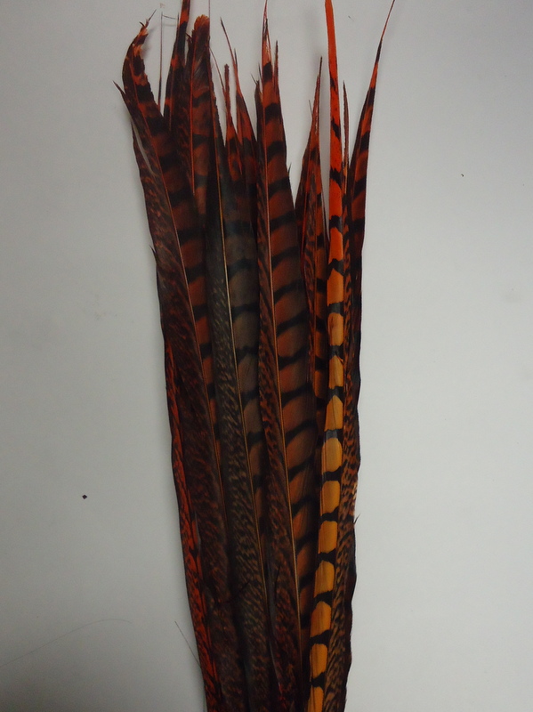 Lady Amherst Pheasant Tail Feather