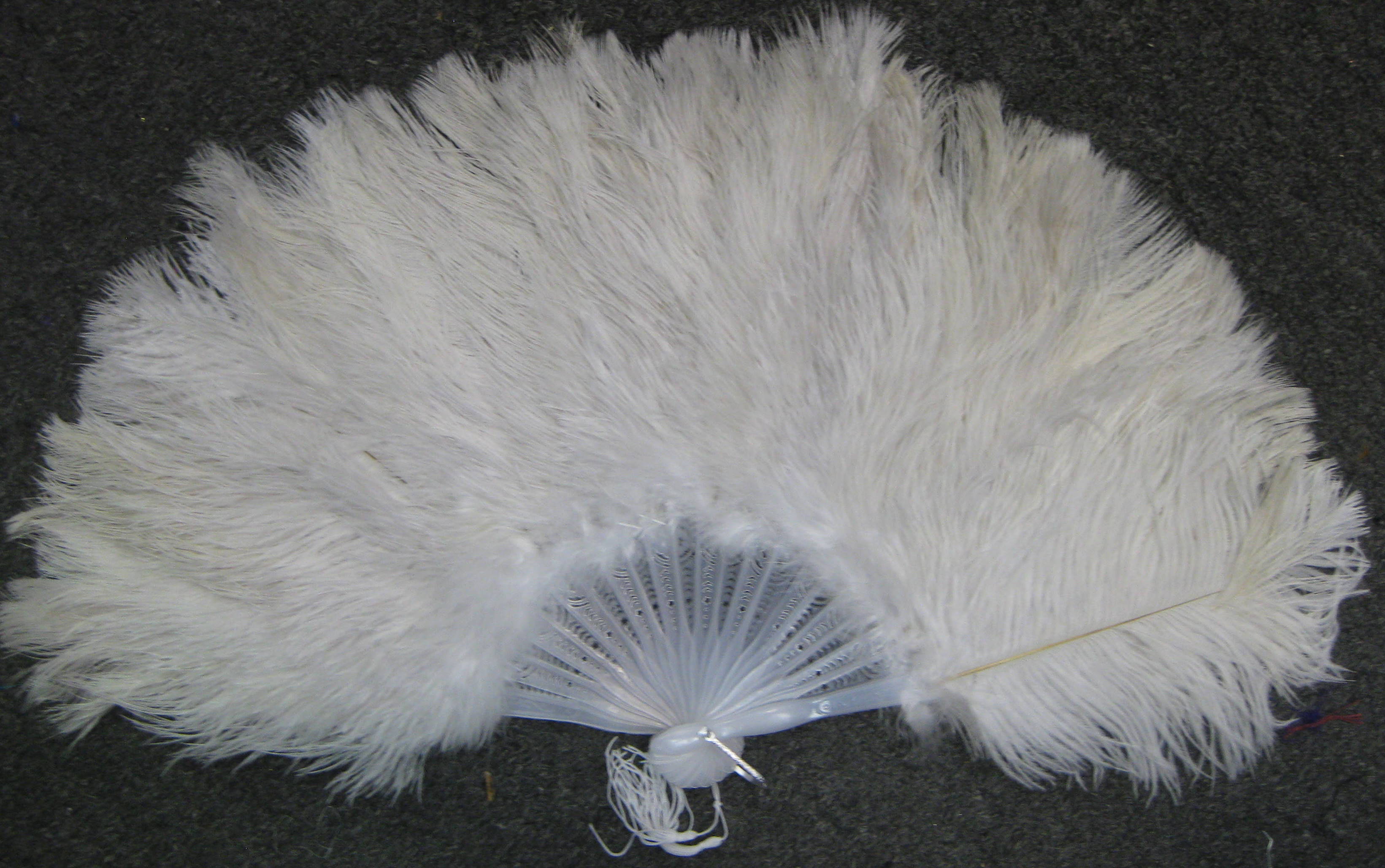 FEATHER FAN