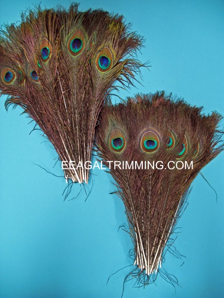 PEACOCK 10-12' PER 100 PEACOCK 10-12' PER 100