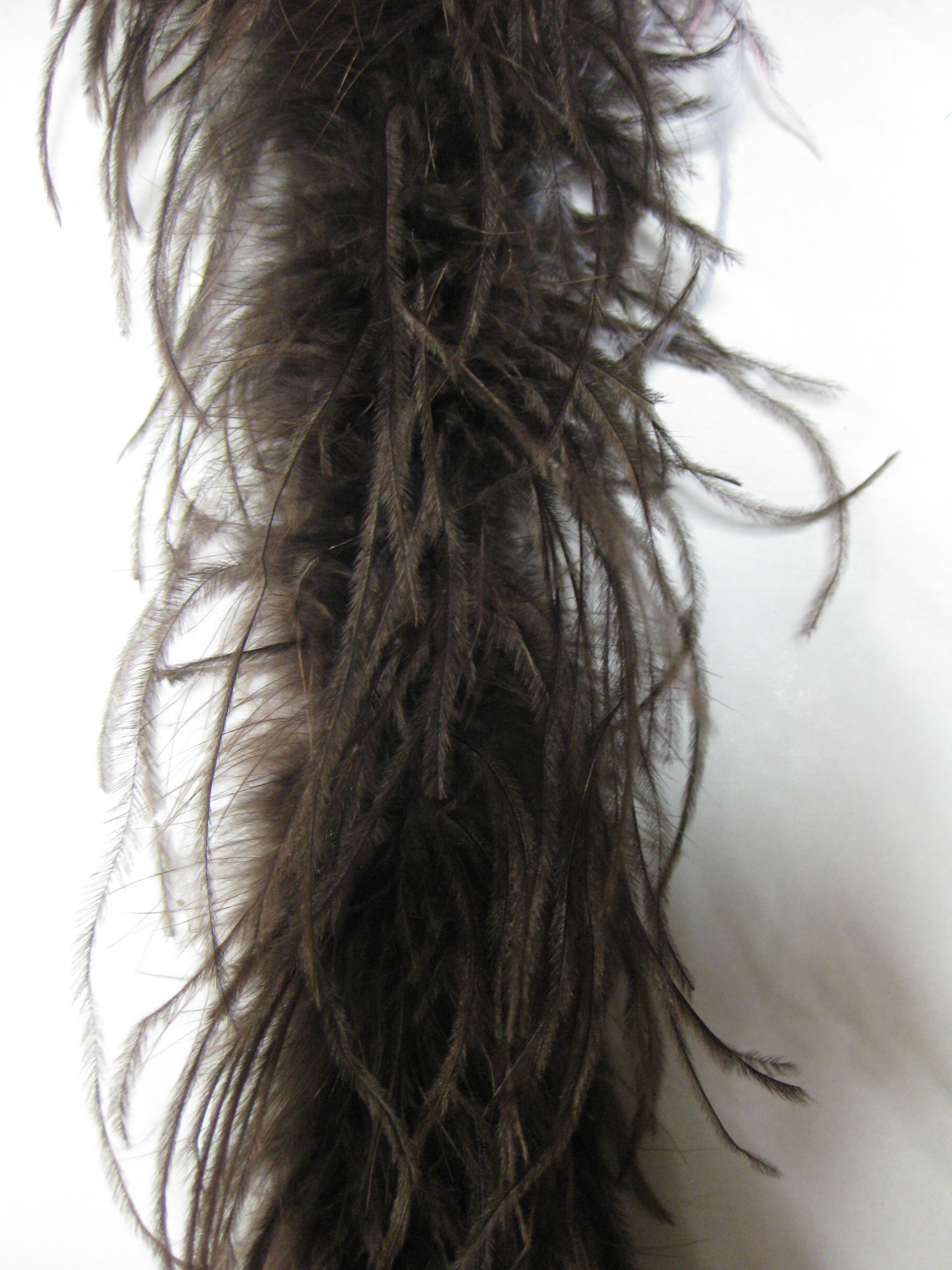 ostrich feather boa ostrich feather boa