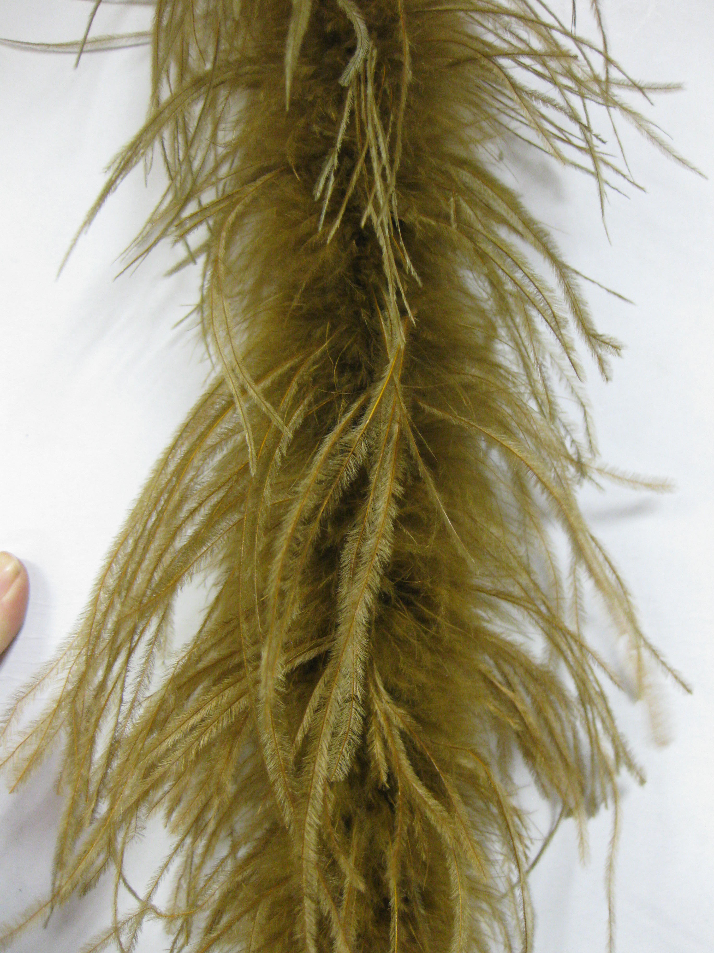 ostrich feather boa ostrich feather boa