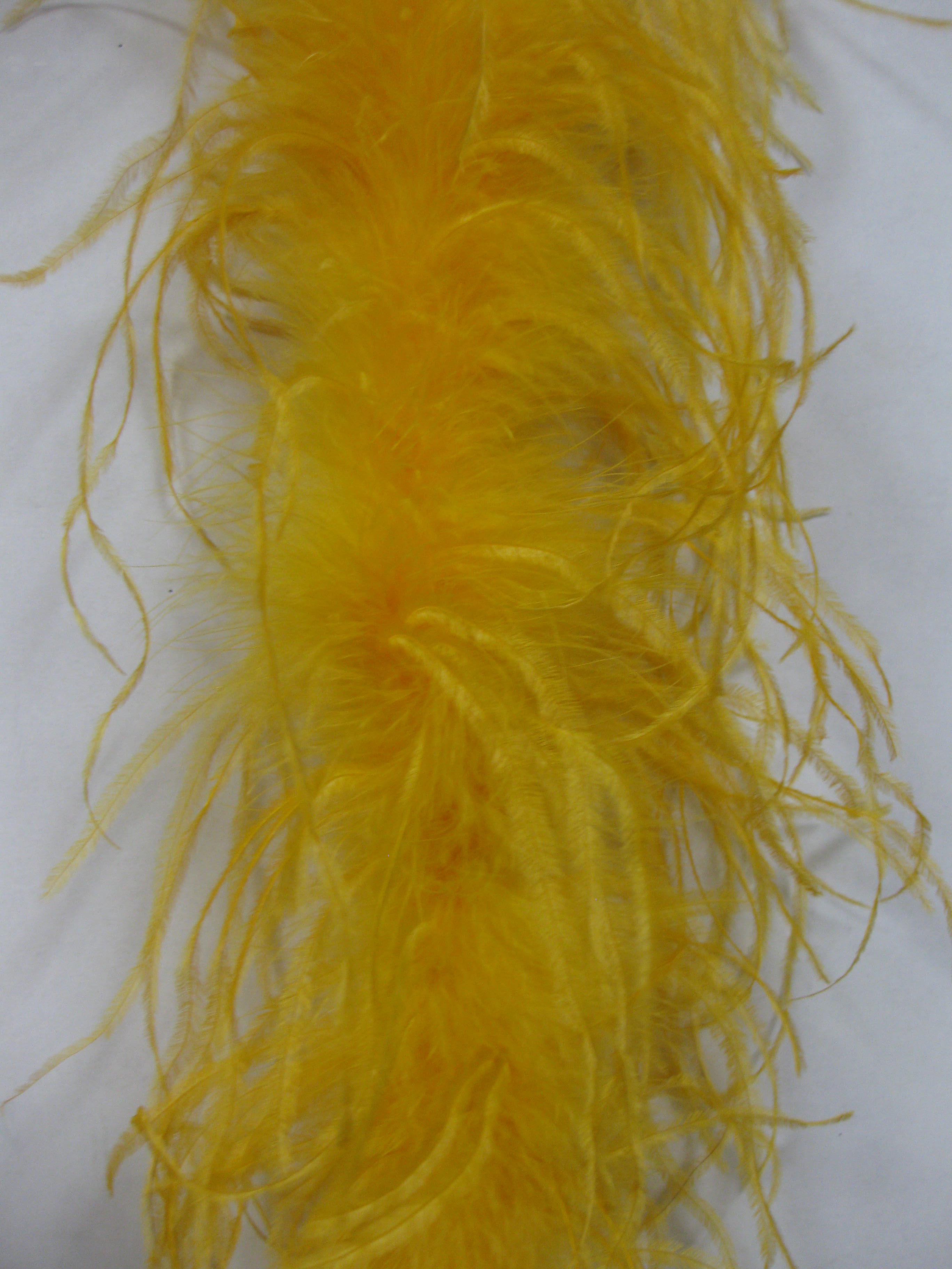 ostrich feather boa ostrich feather boa