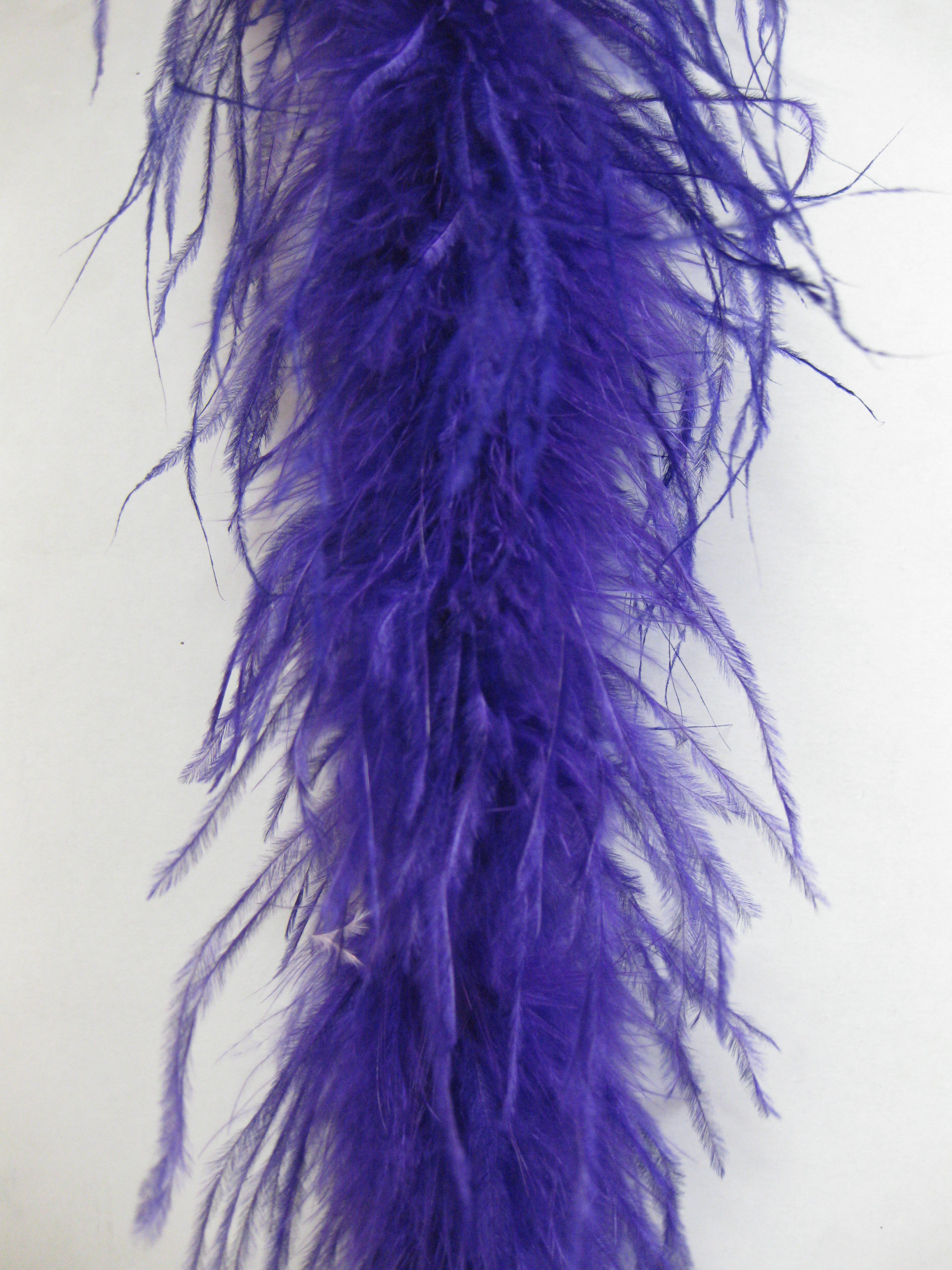 ostrich feather boa