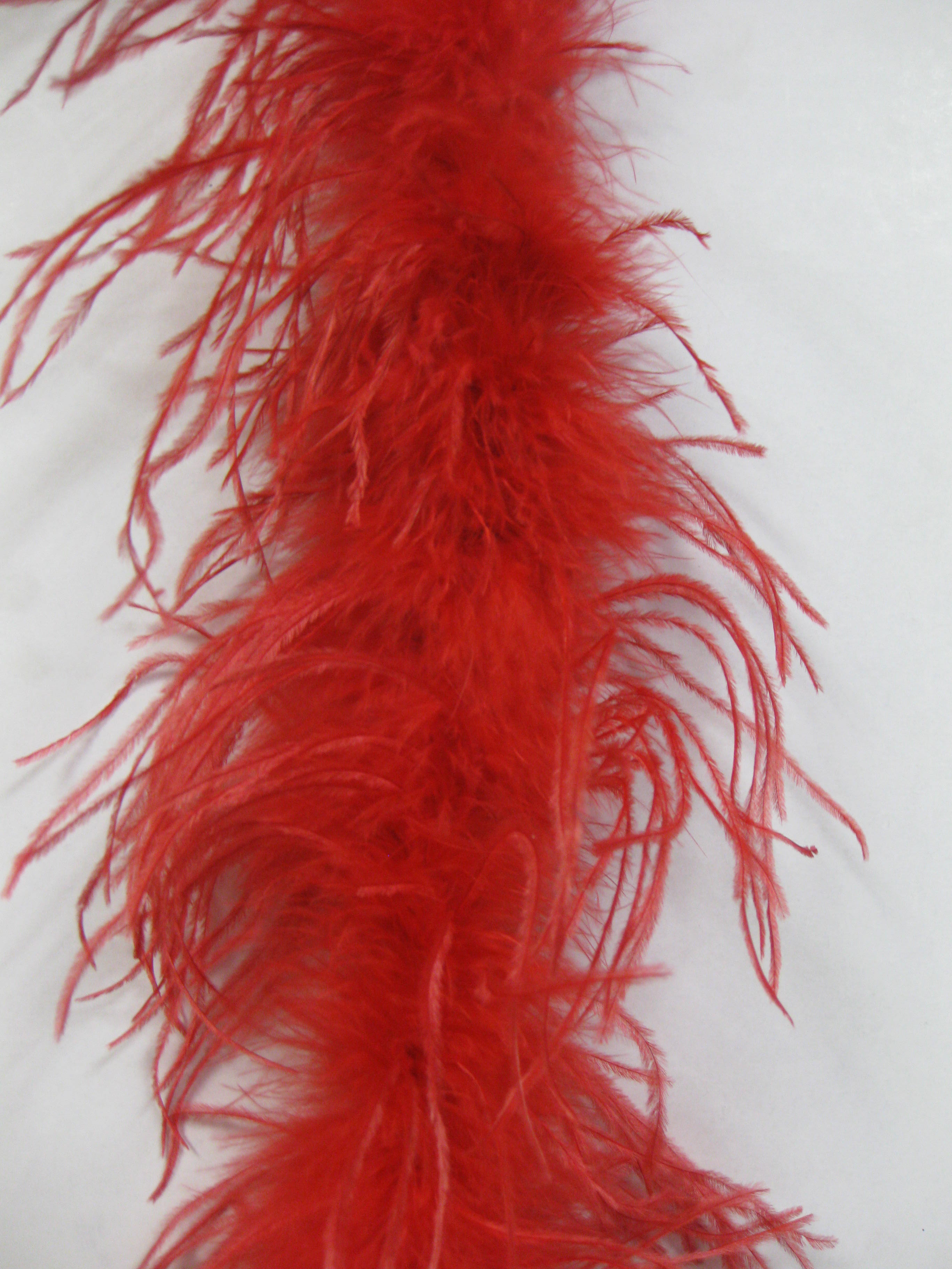 ostrich feather boa ostrich feather boa