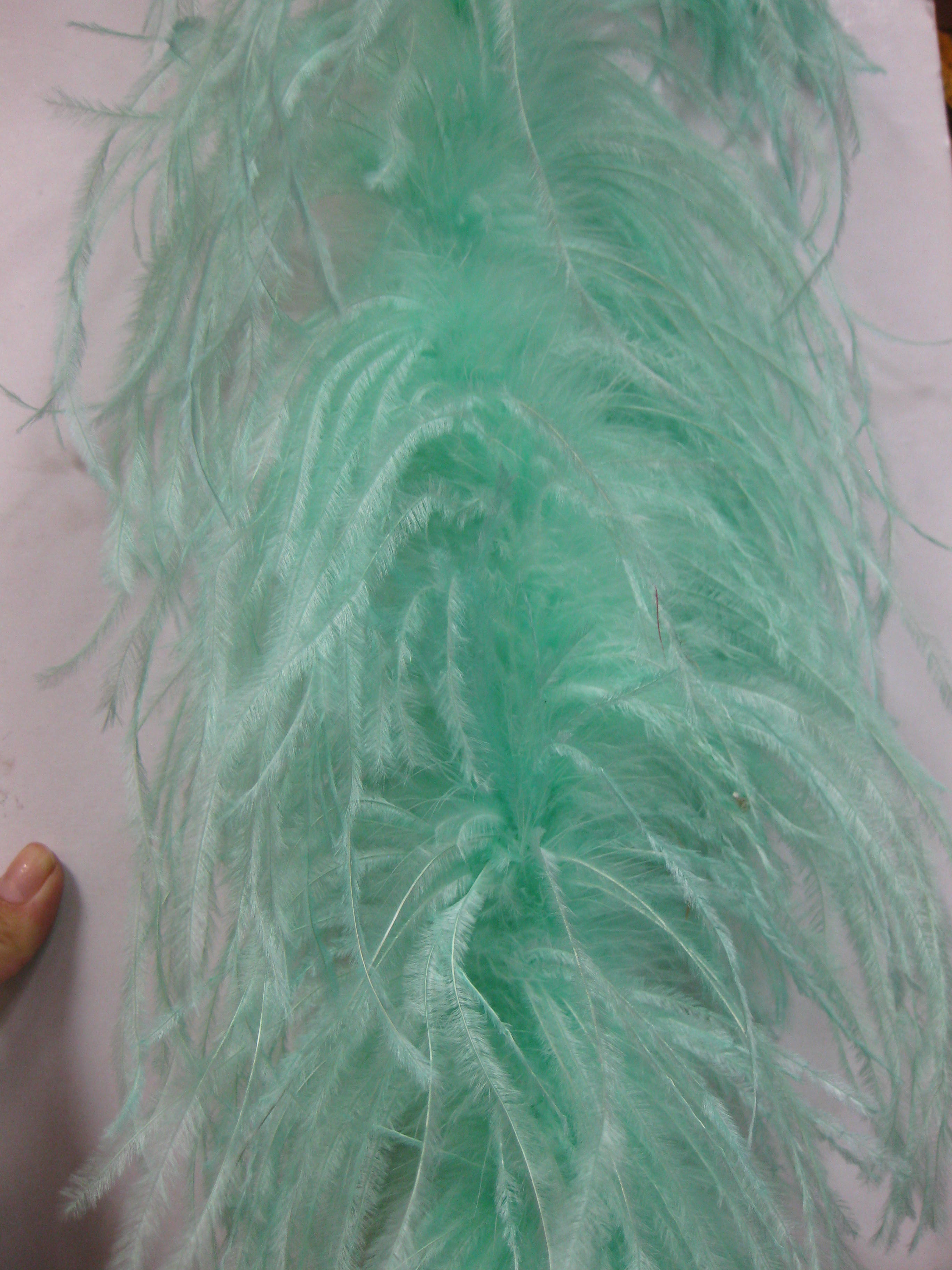 ostrich feather boa