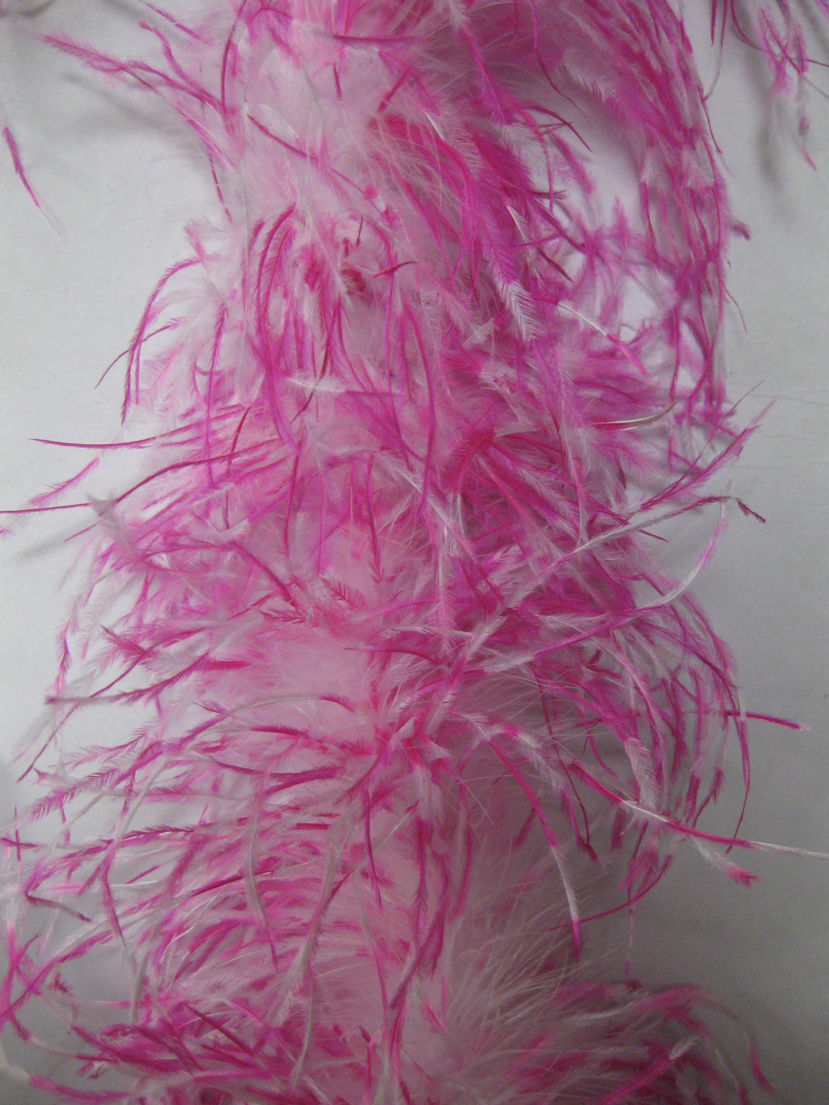 OSTRICH FEATHER BOA