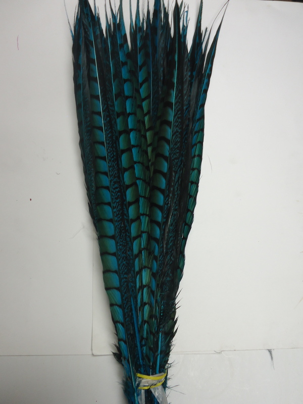 Lady Amherst Pheasant Tail Feather