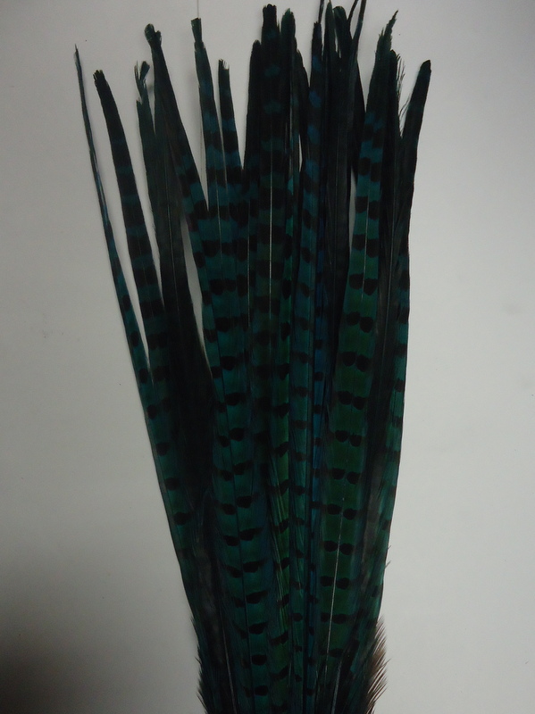 Pheasant Tail Feather- Ringneck