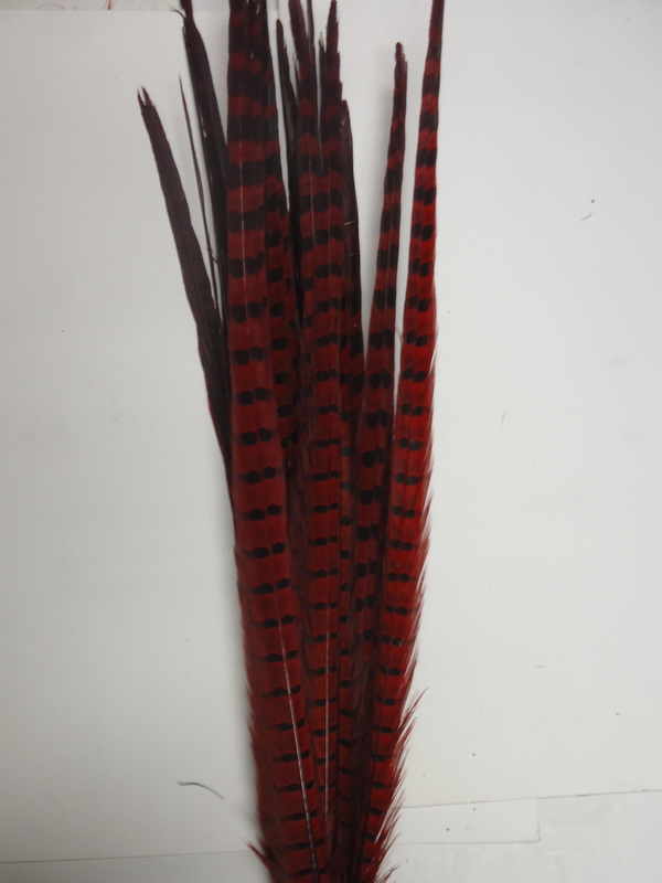 Pheasant Tail Feather- Ringneck