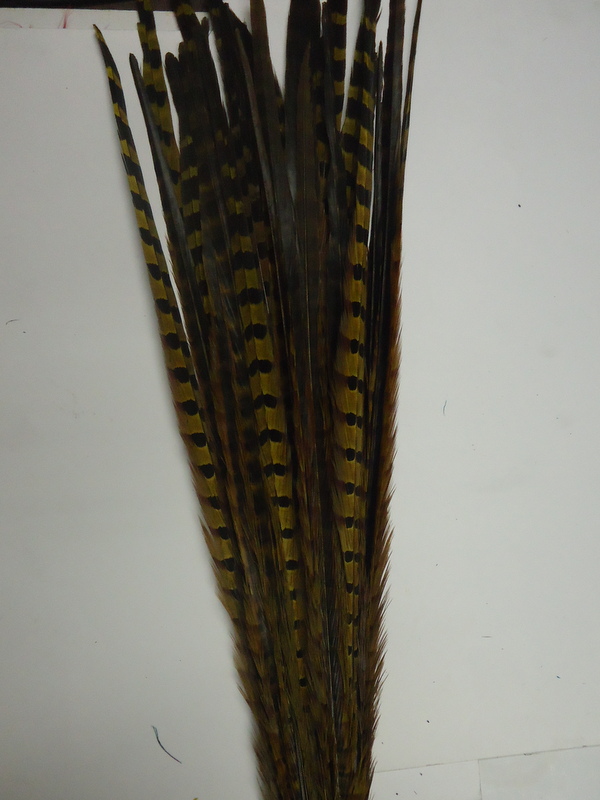 Pheasant Tail Feather- Ringneck