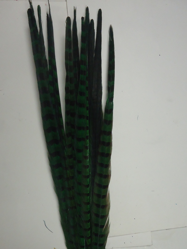 Pheasant Tail Feather- Ringneck