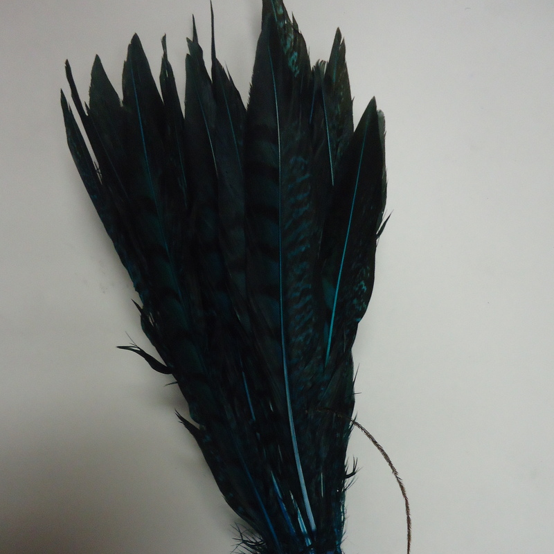 Short Lady Amherst Pheasant Pheasant Feathers