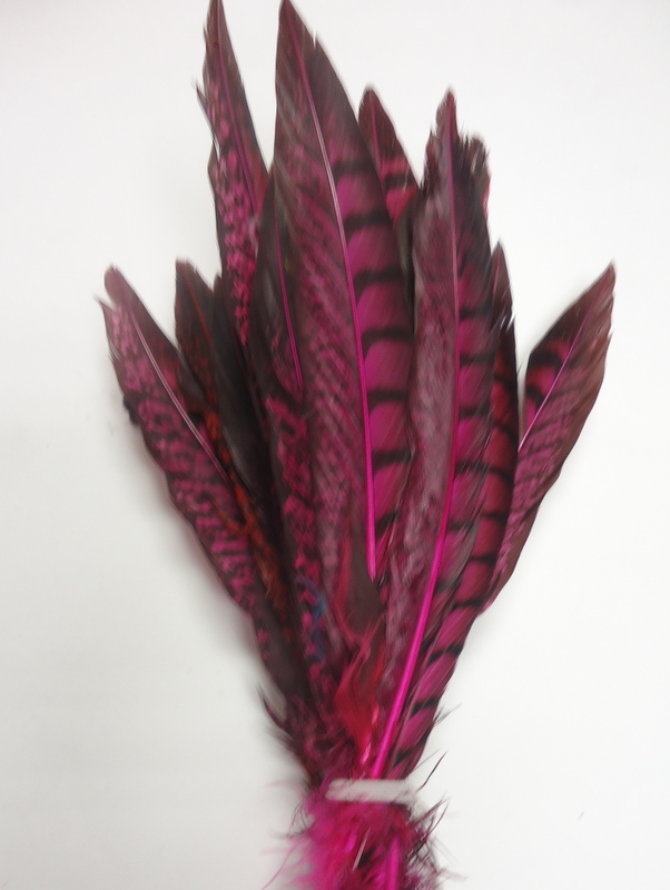 Short Lady Amherst Pheasant Pheasant Feathers