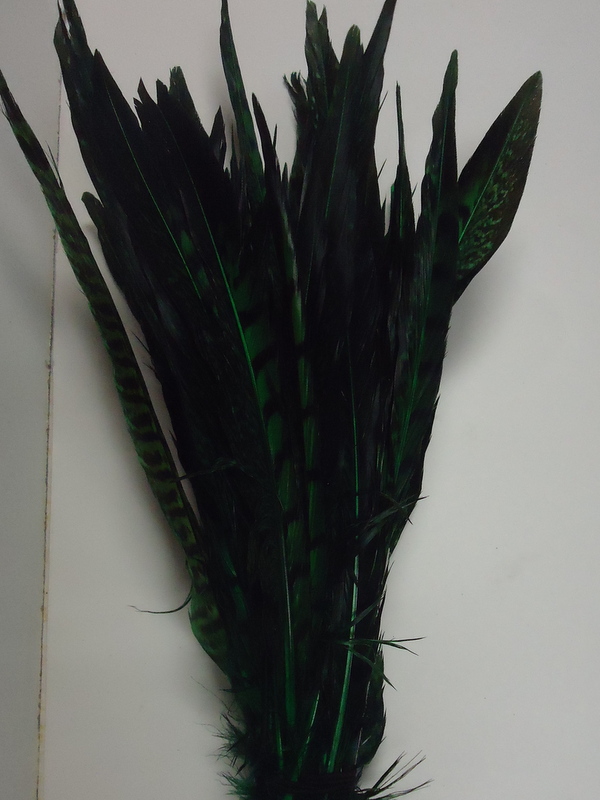 Short Lady Amherst Pheasant Pheasant Feathers