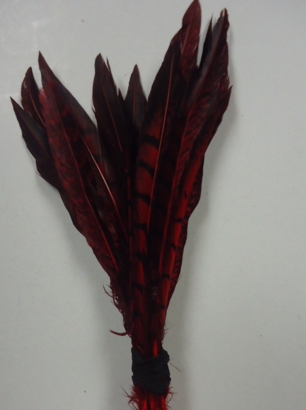 Short Lady Amherst Pheasant Pheasant Feathers