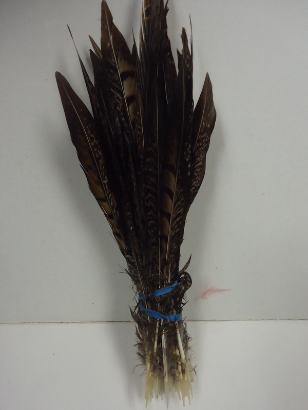 Short Lady Amherst Pheasant Pheasant Feathers