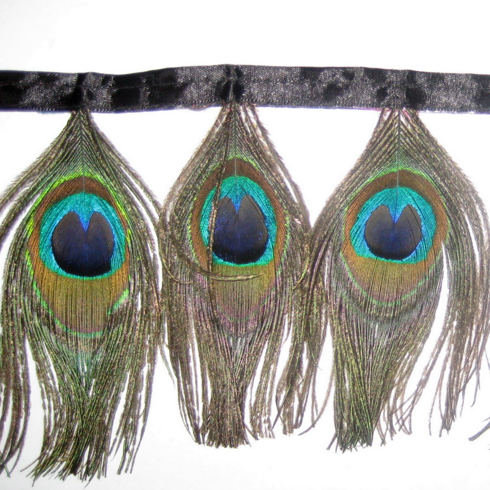 Peacock Eye Fringe