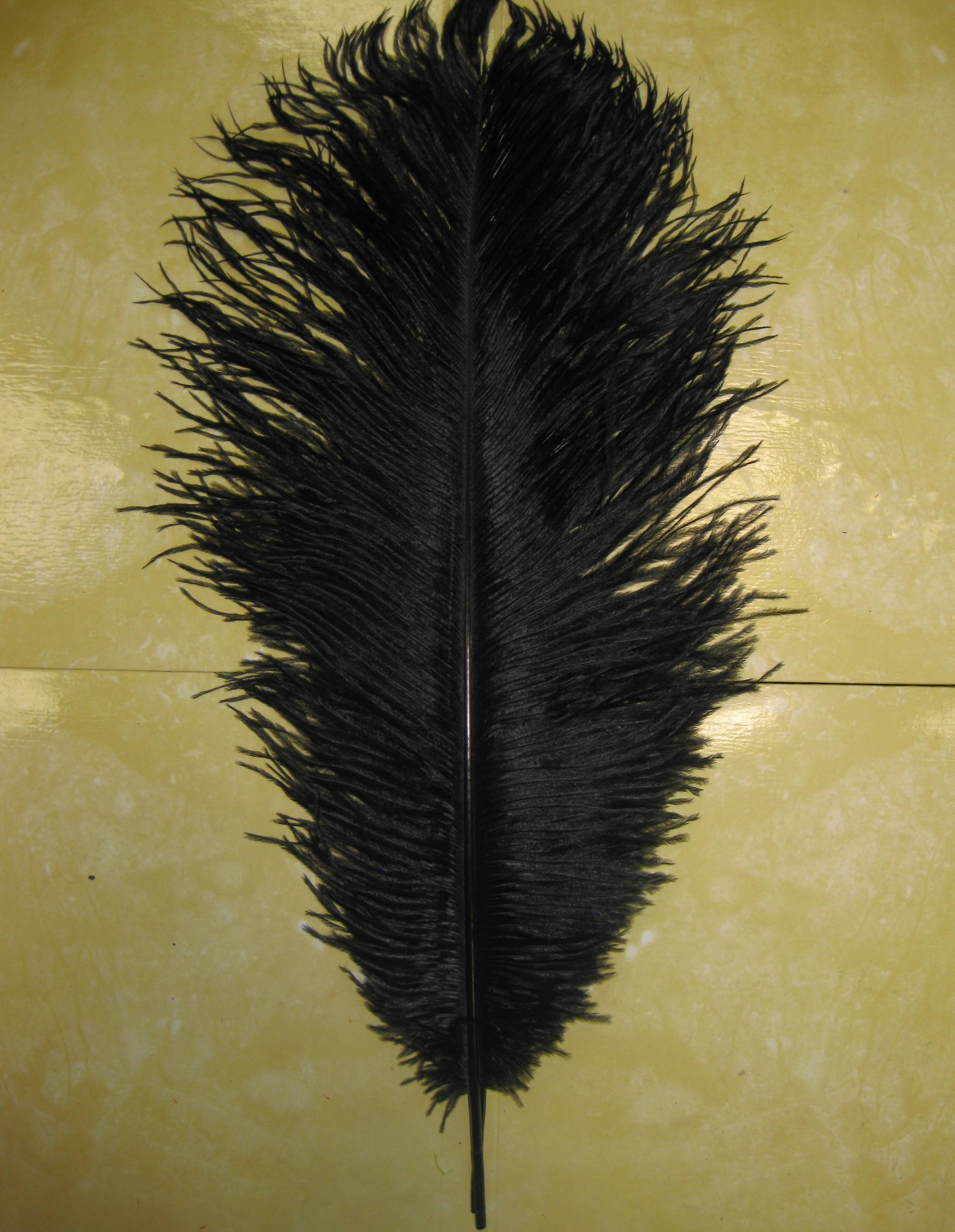 OSTRICH PLUME