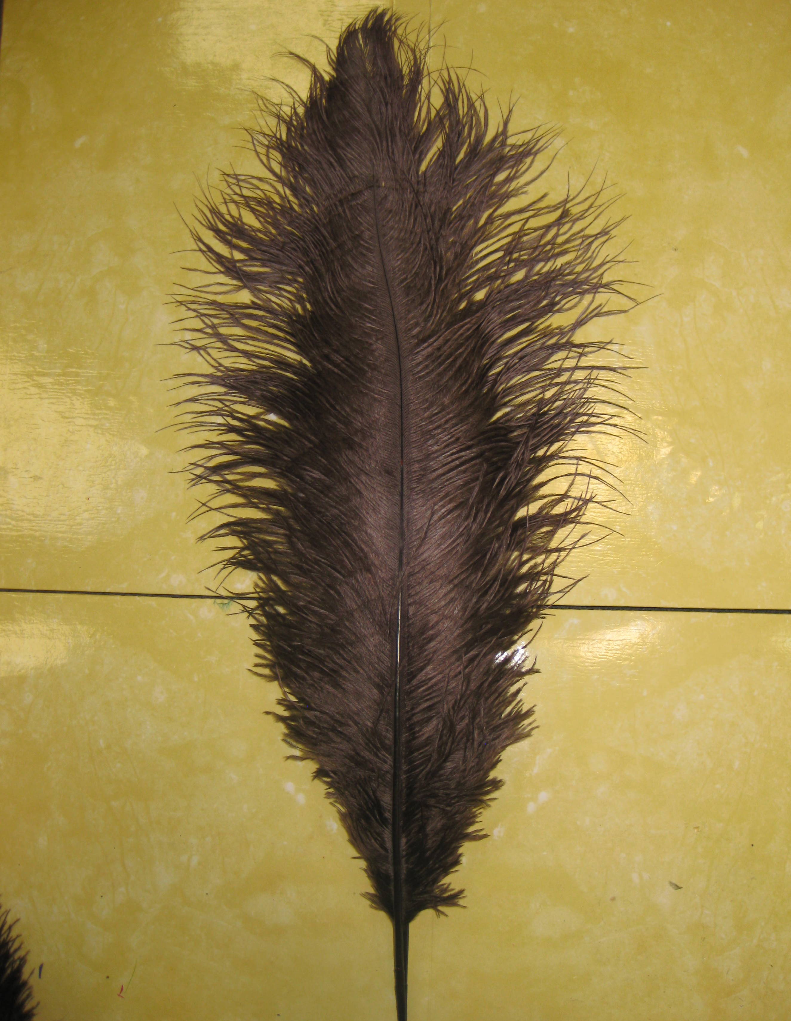 OSTRICH PLUME