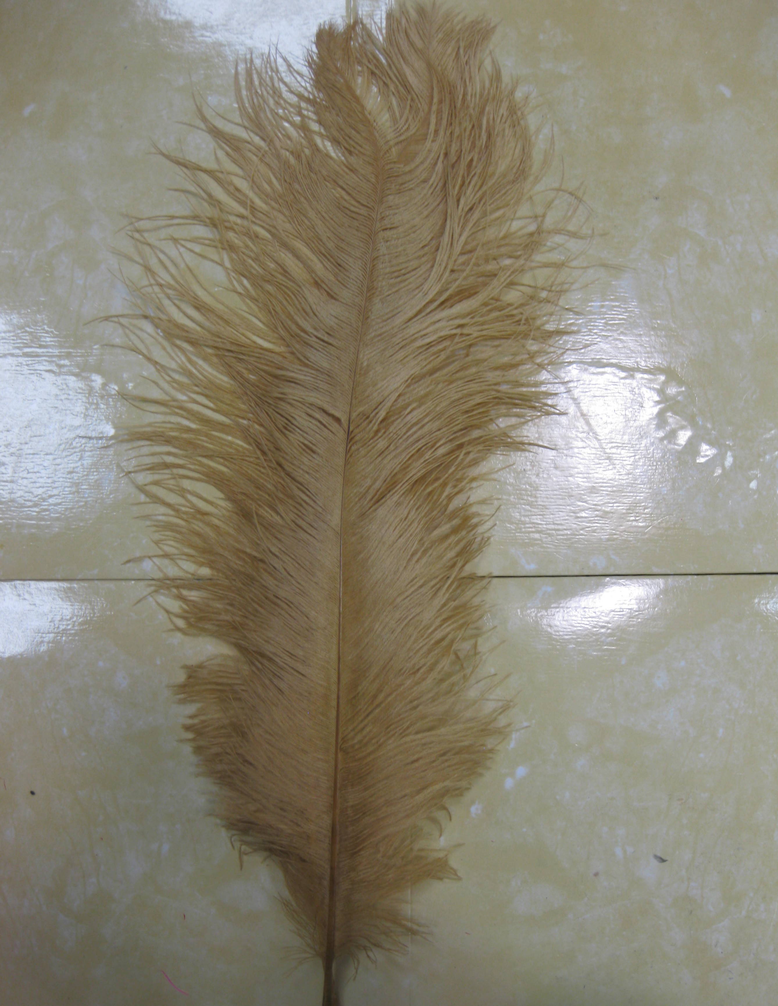 OSTRICH PLUME