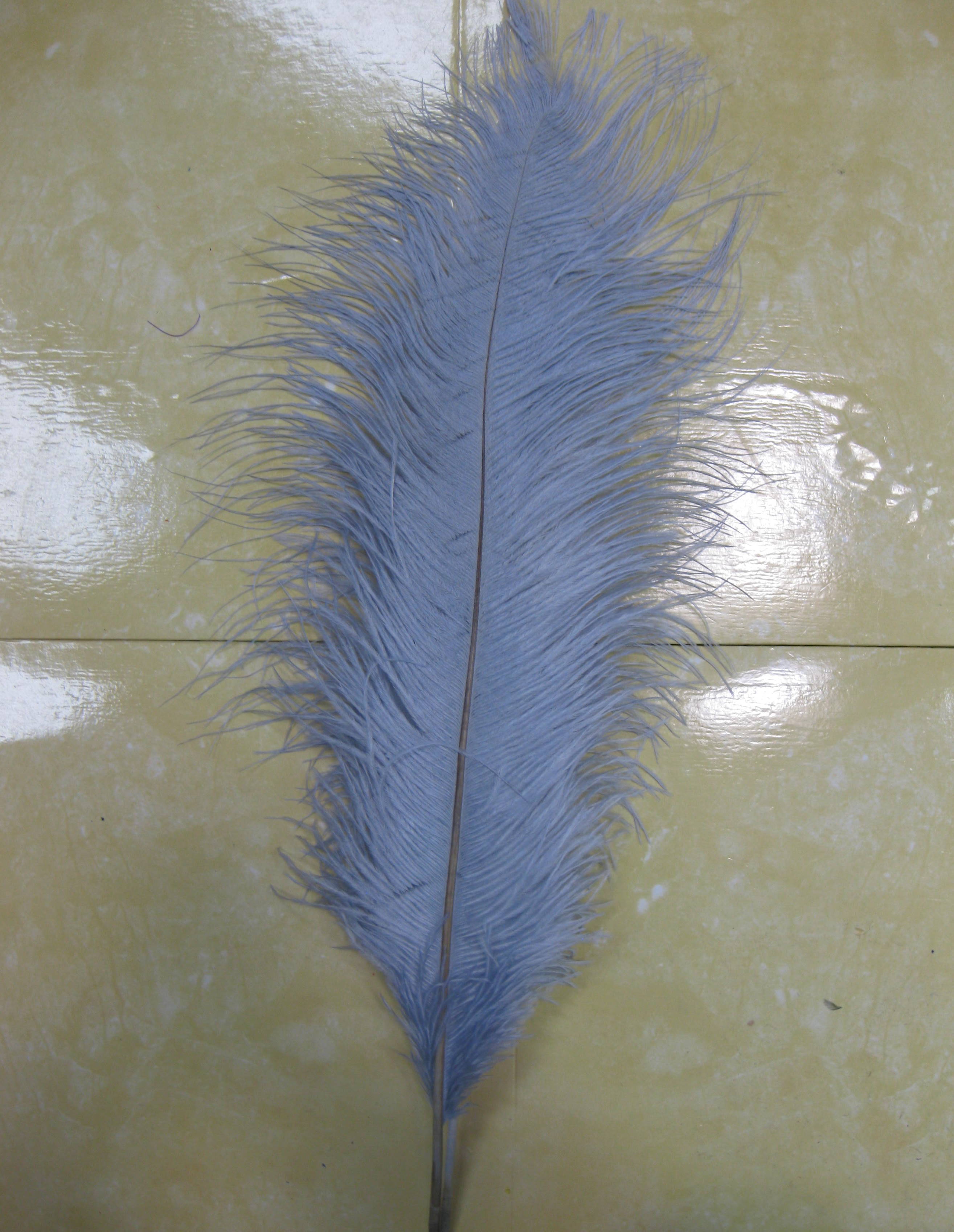 OSTRICH PLUME OSTRICH PLUME