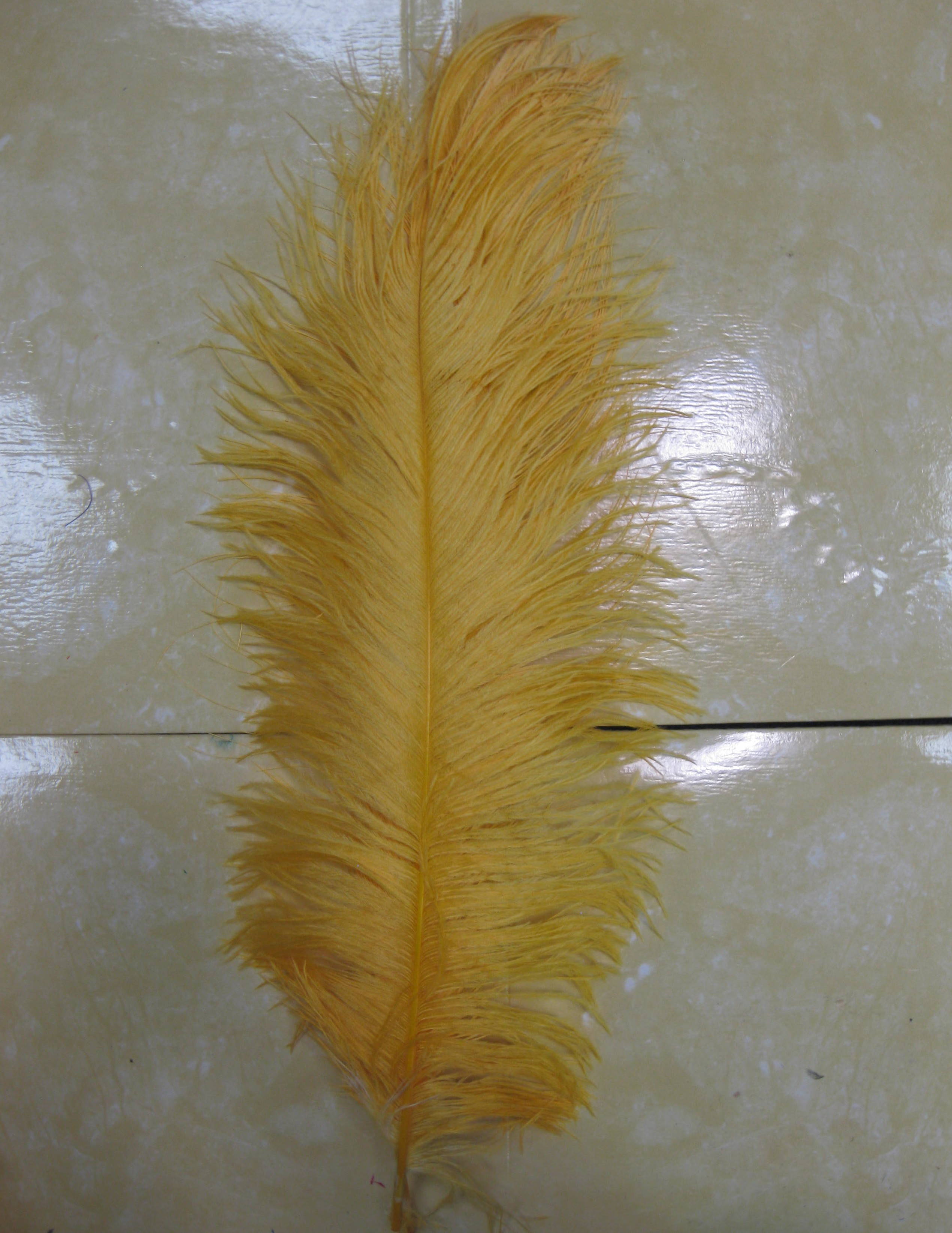 OSTRICH PLUME