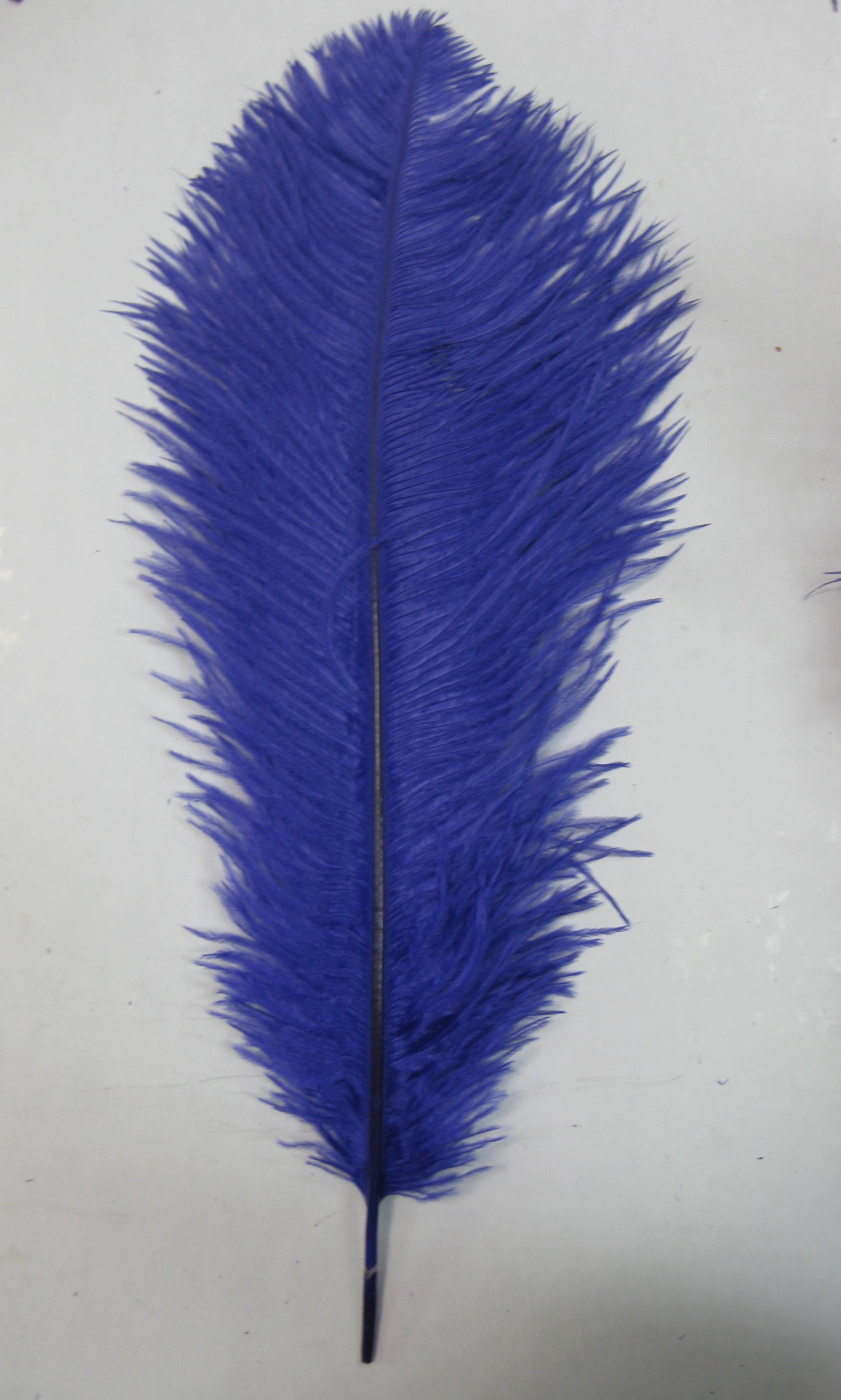 OSTRICH PLUME OSTRICH PLUME