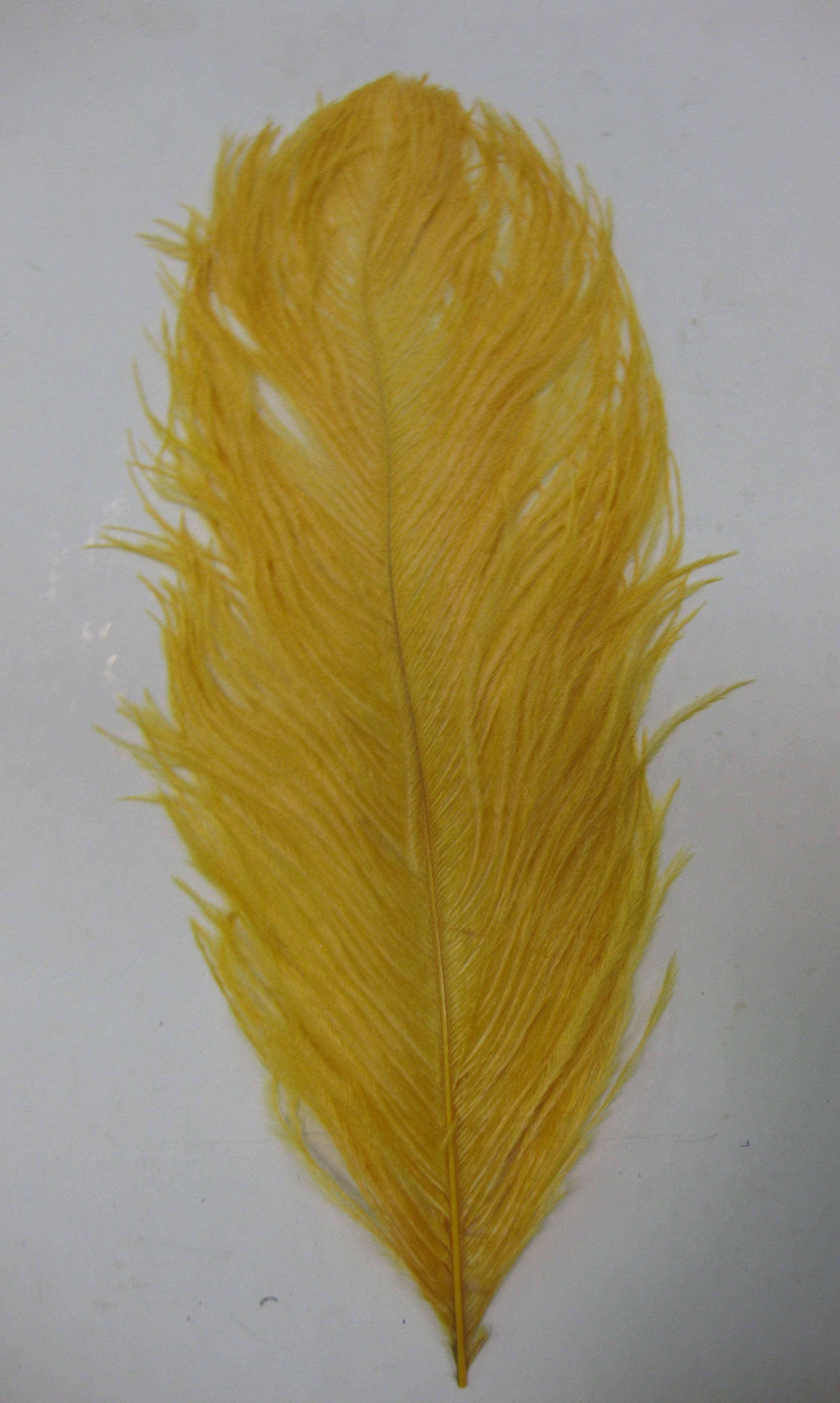 OSTRICH PLUME OSTRICH PLUME