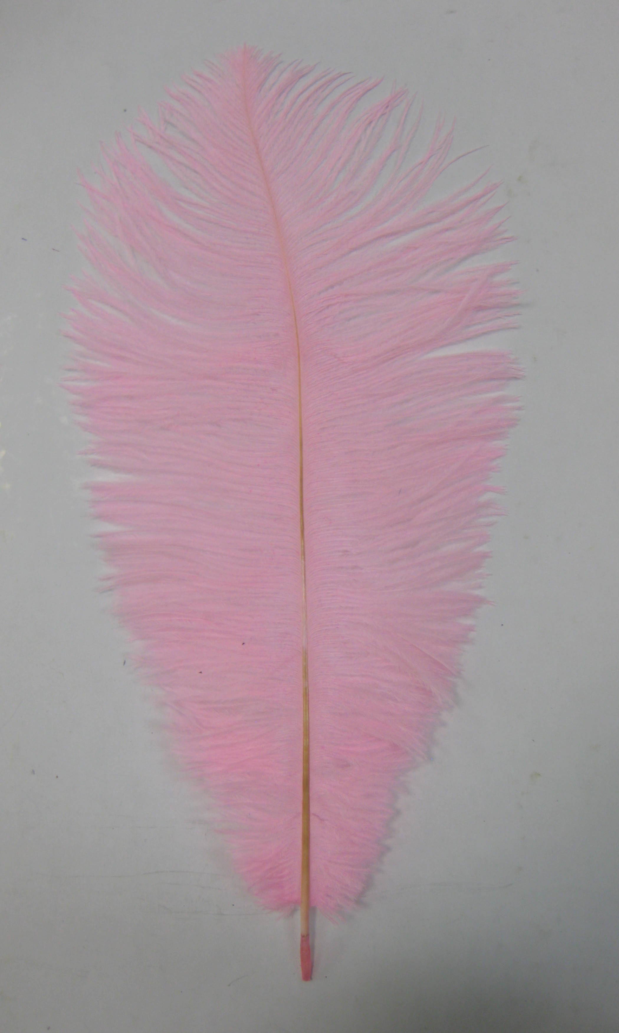 OSTRICH PLUME OSTRICH PLUME