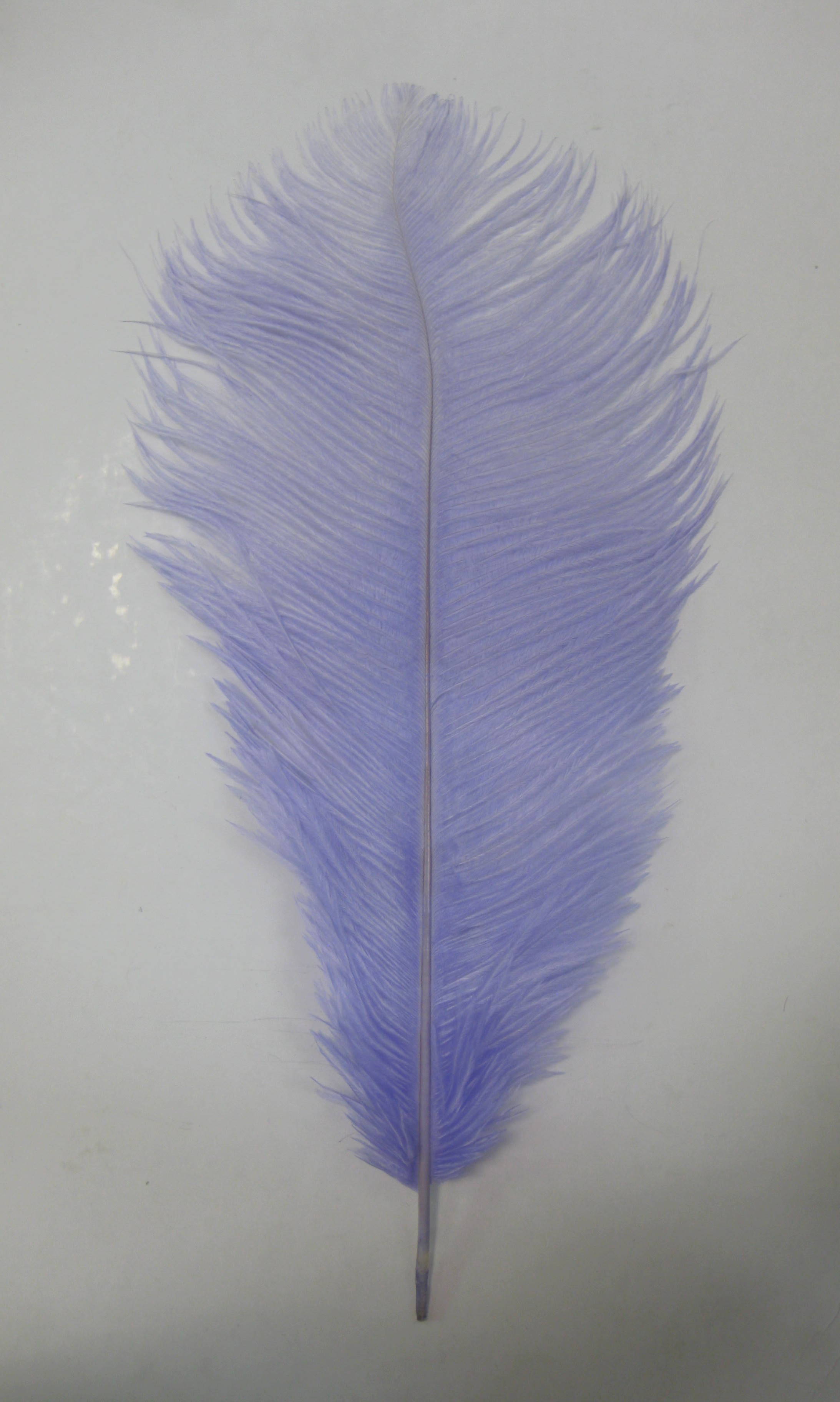 OSTRICH PLUME OSTRICH PLUME