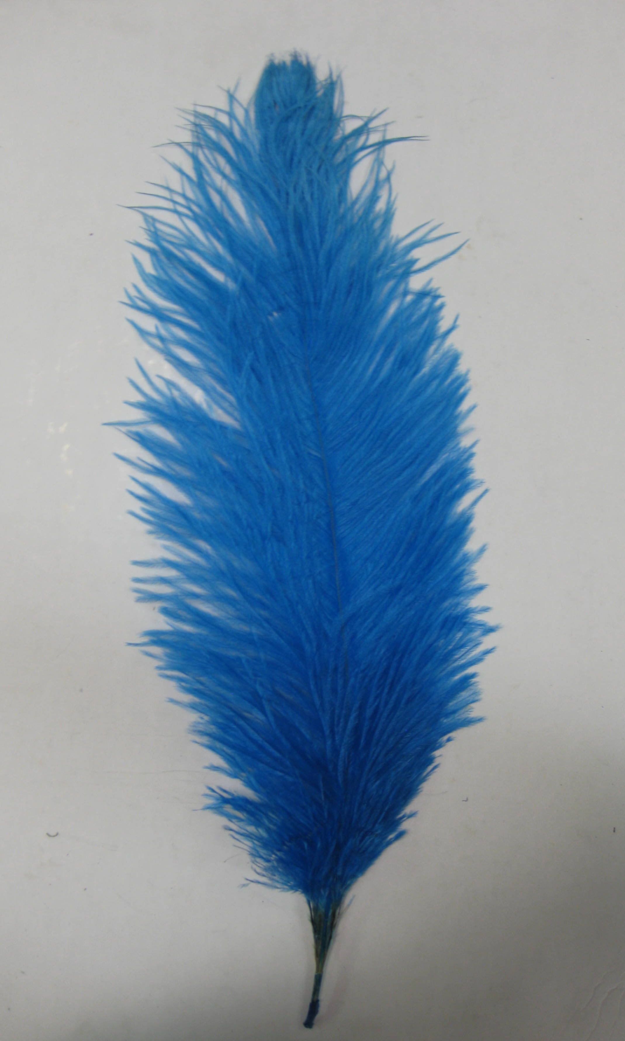 OSTRICH PLUME OSTRICH PLUME