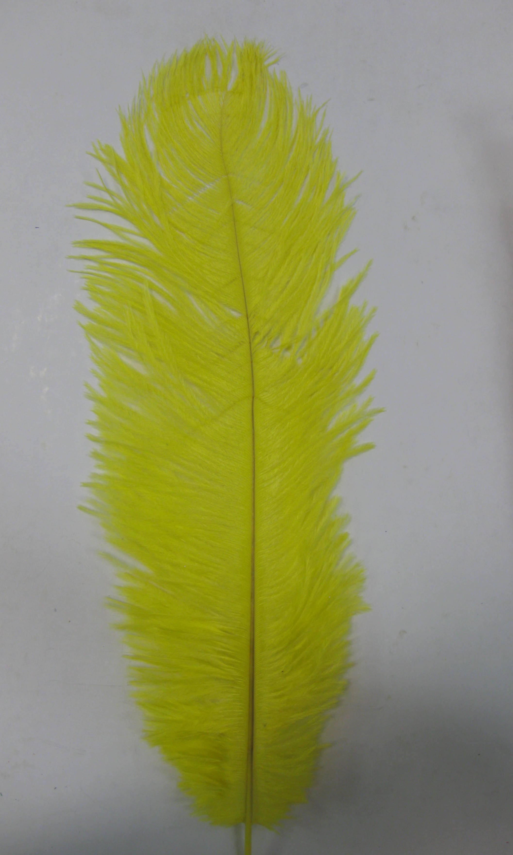 OSTRICH PLUME OSTRICH PLUME