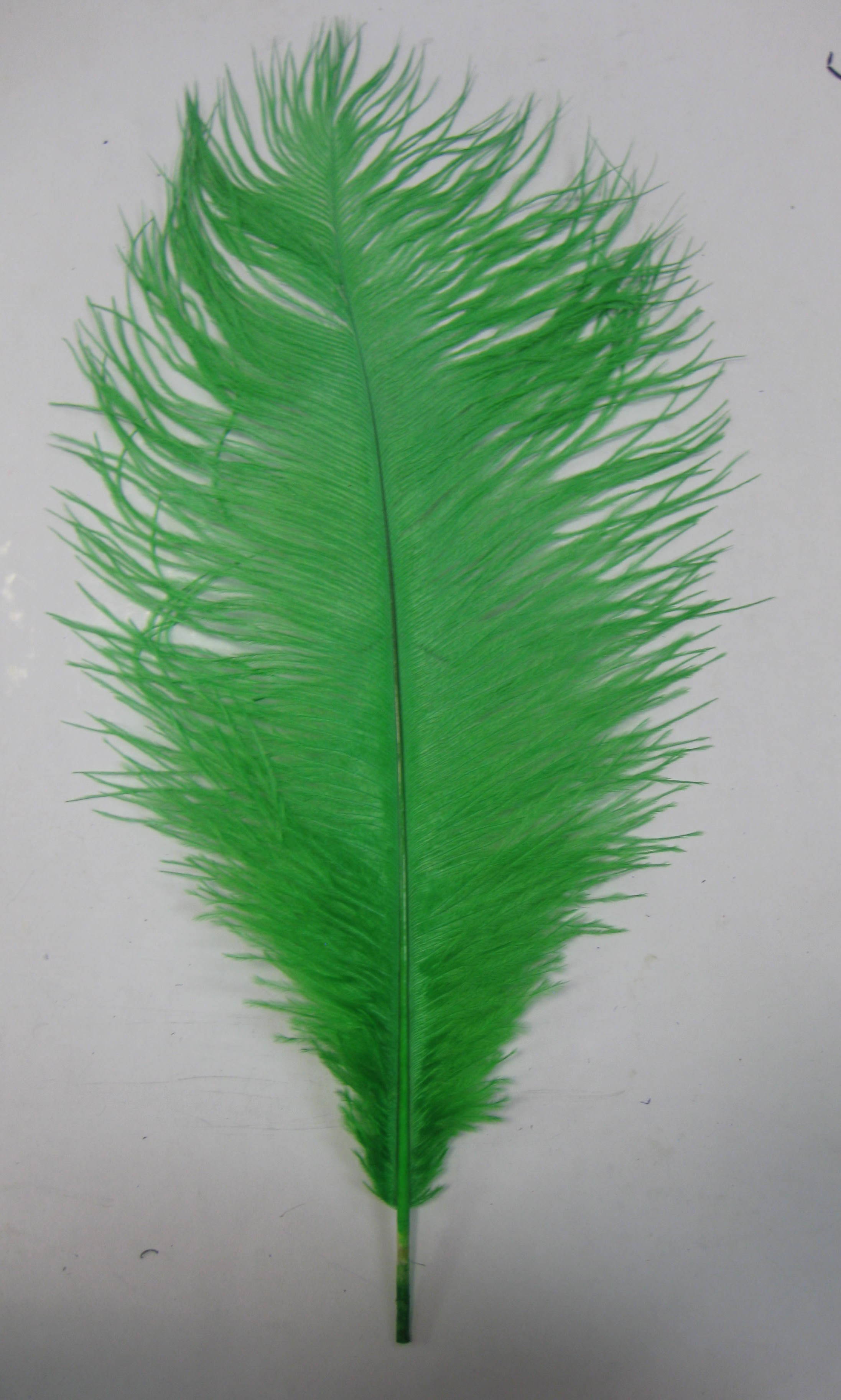OSTRICH PLUME OSTRICH PLUME