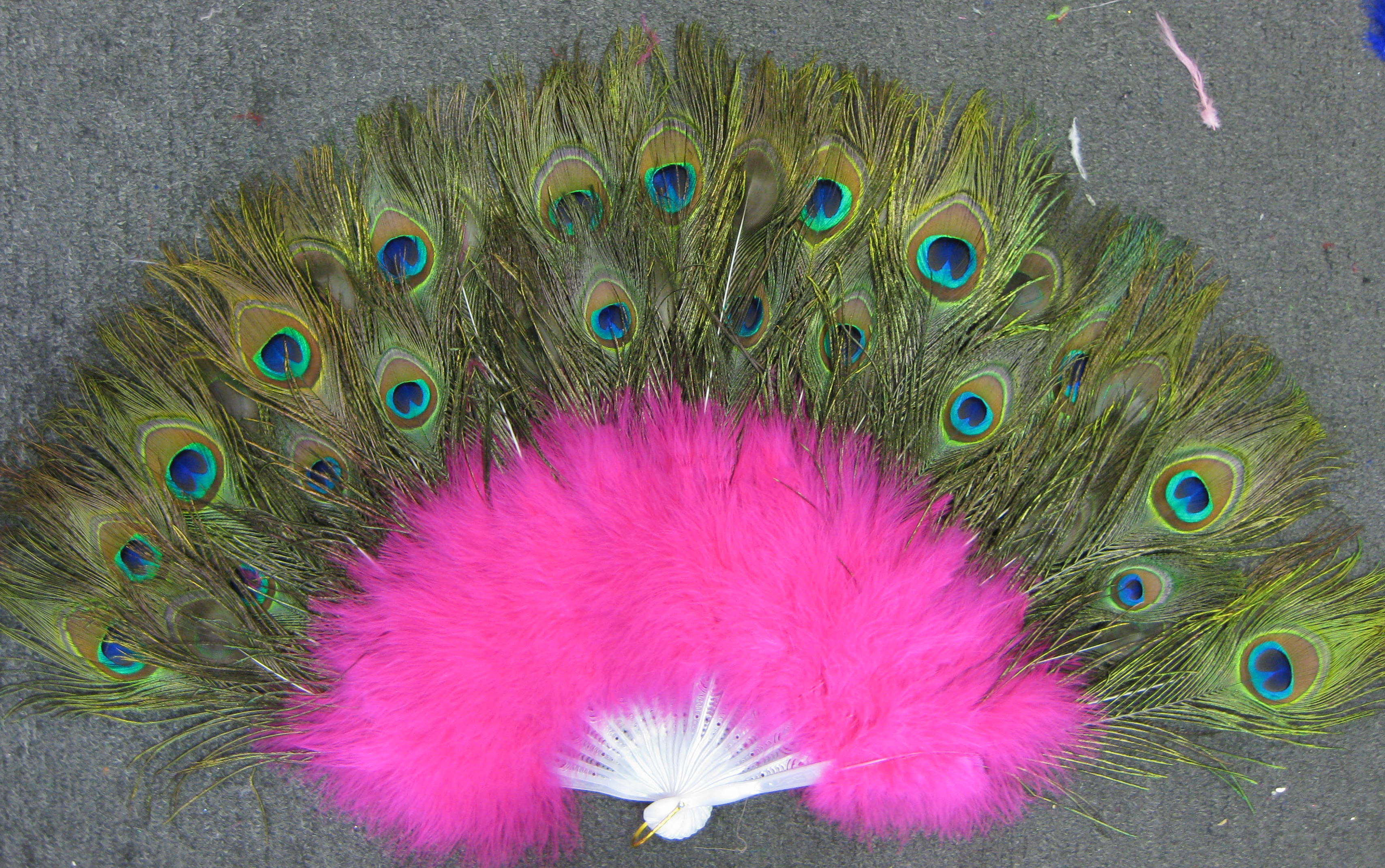 FEATHER FAN FEATHER FAN