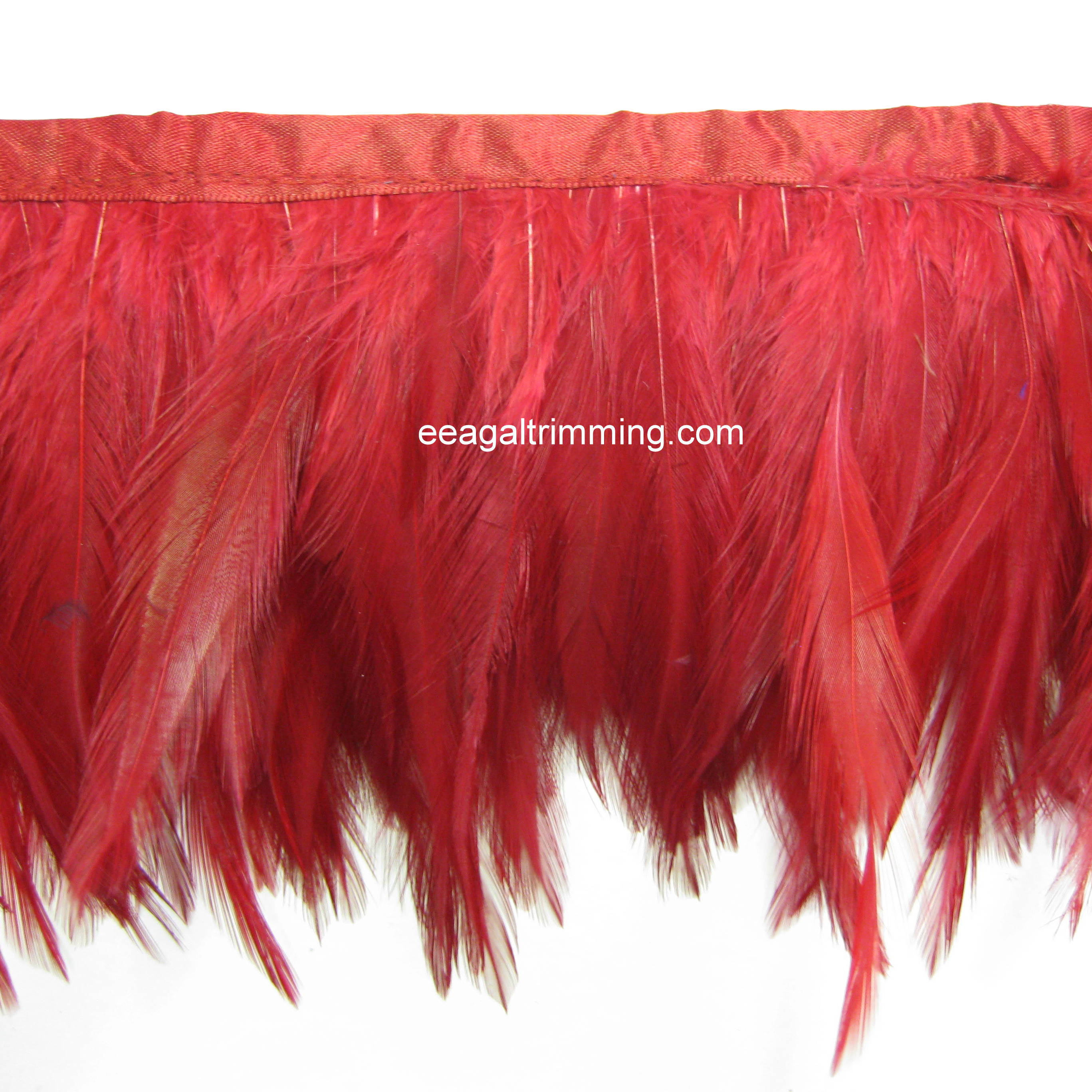 ROOSTER FRINGE ROOSTER FRINGE