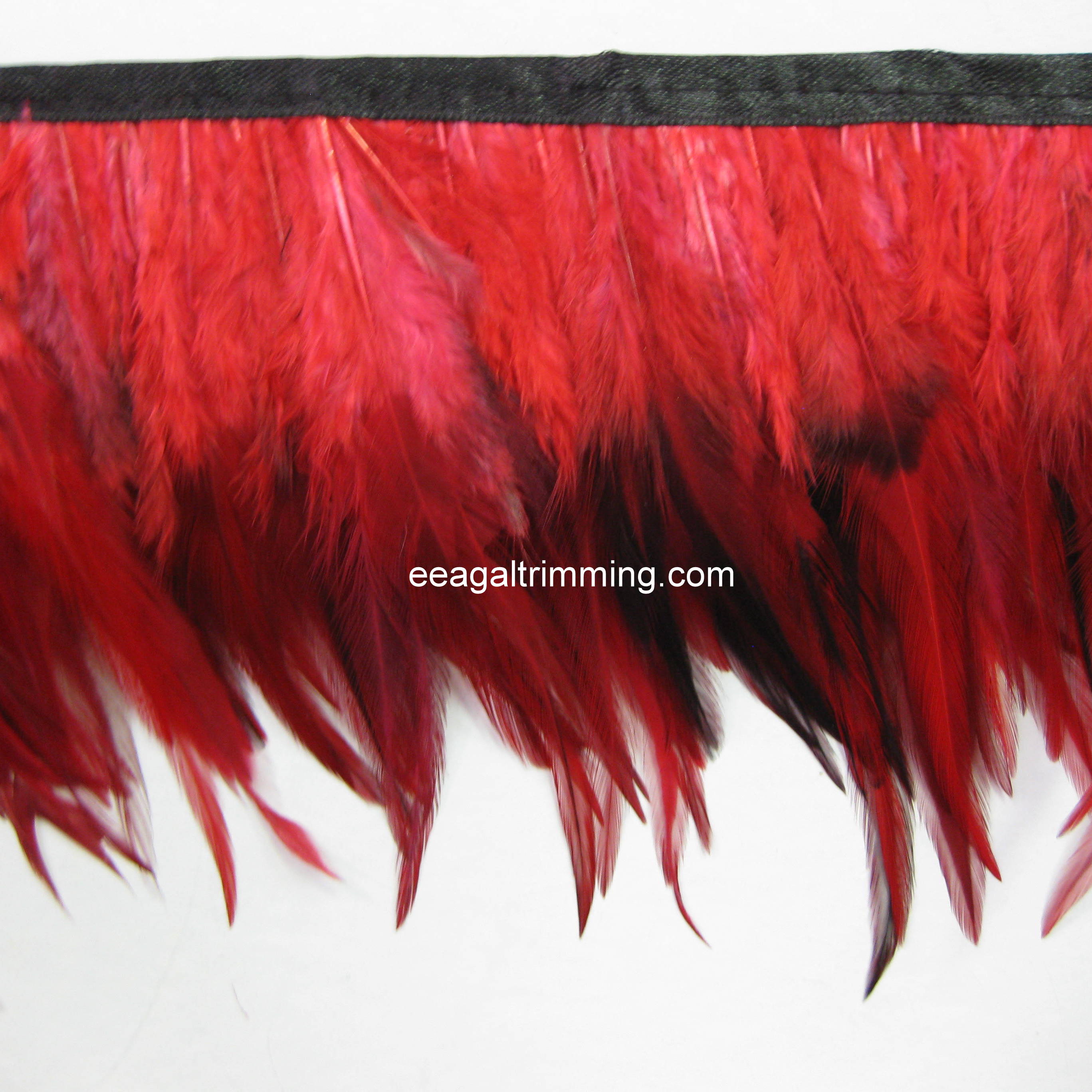 ROOSTER FRINGE ROOSTER FRINGE
