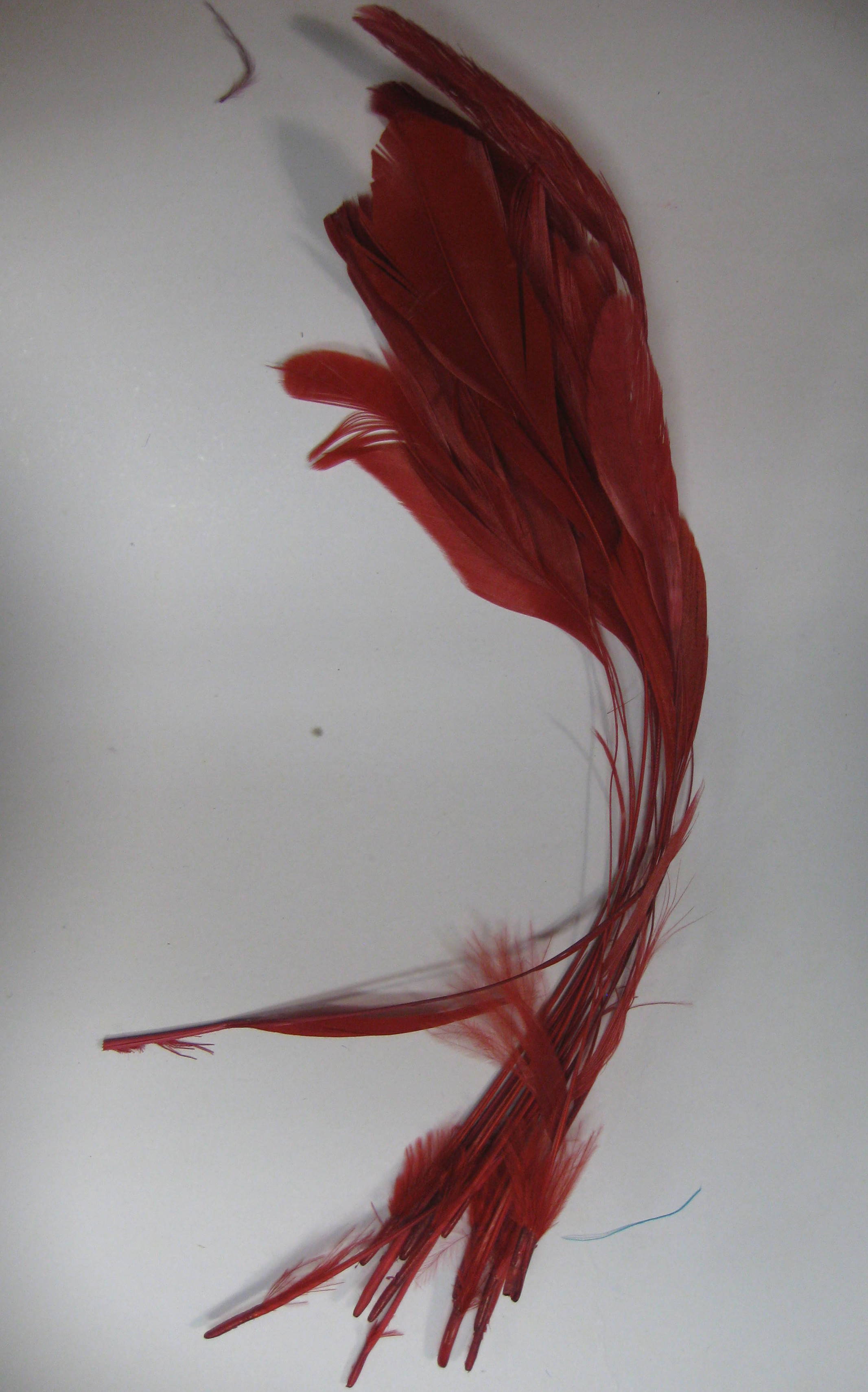 COCKTAIL RED COCKTAIL RED