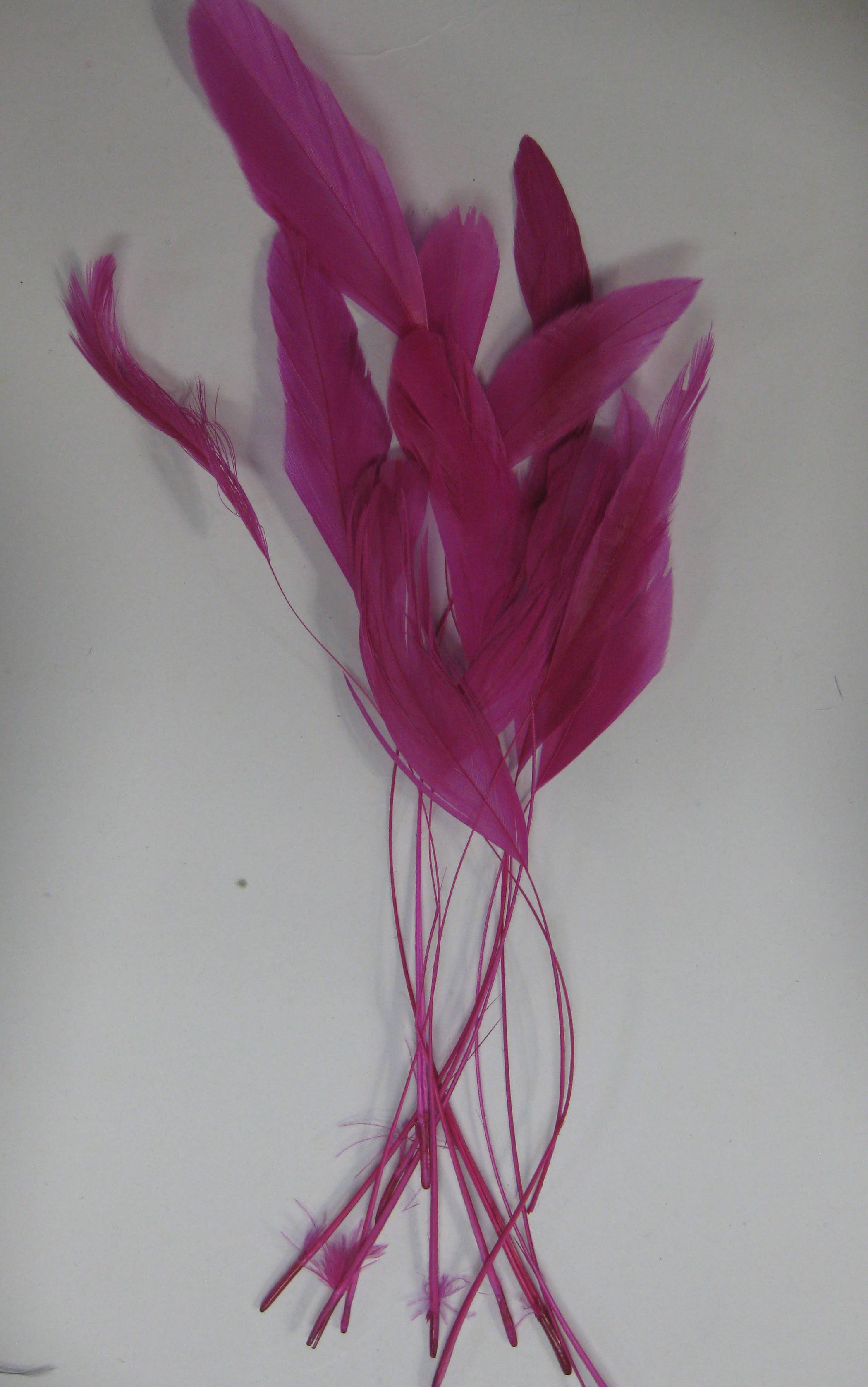 COCKTAL FUSHIA COCKTAL FUSHIA