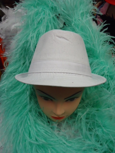 Hat #4 Hat #4