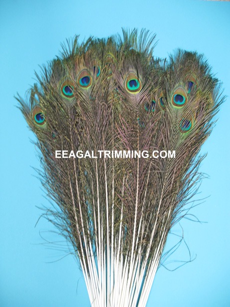 PEACOCK 40-45' PER 50 PEACOCK 40-45' PER 50