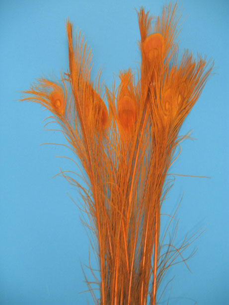 BLEACH DYED ORANGE 35-40' PER 12