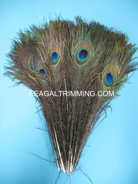 PEACOCK 10-12' PER 50 PEACOCK 10-12' PER 50