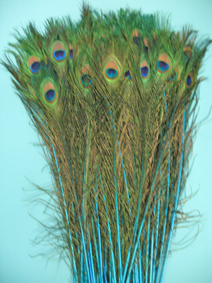 TURQUOISE 35-40' PER 100 TURQUOISE 35-40' PER 100