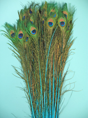 TURQUOISE 35-40' PER 50 TURQUOISE 35-40' PER 50